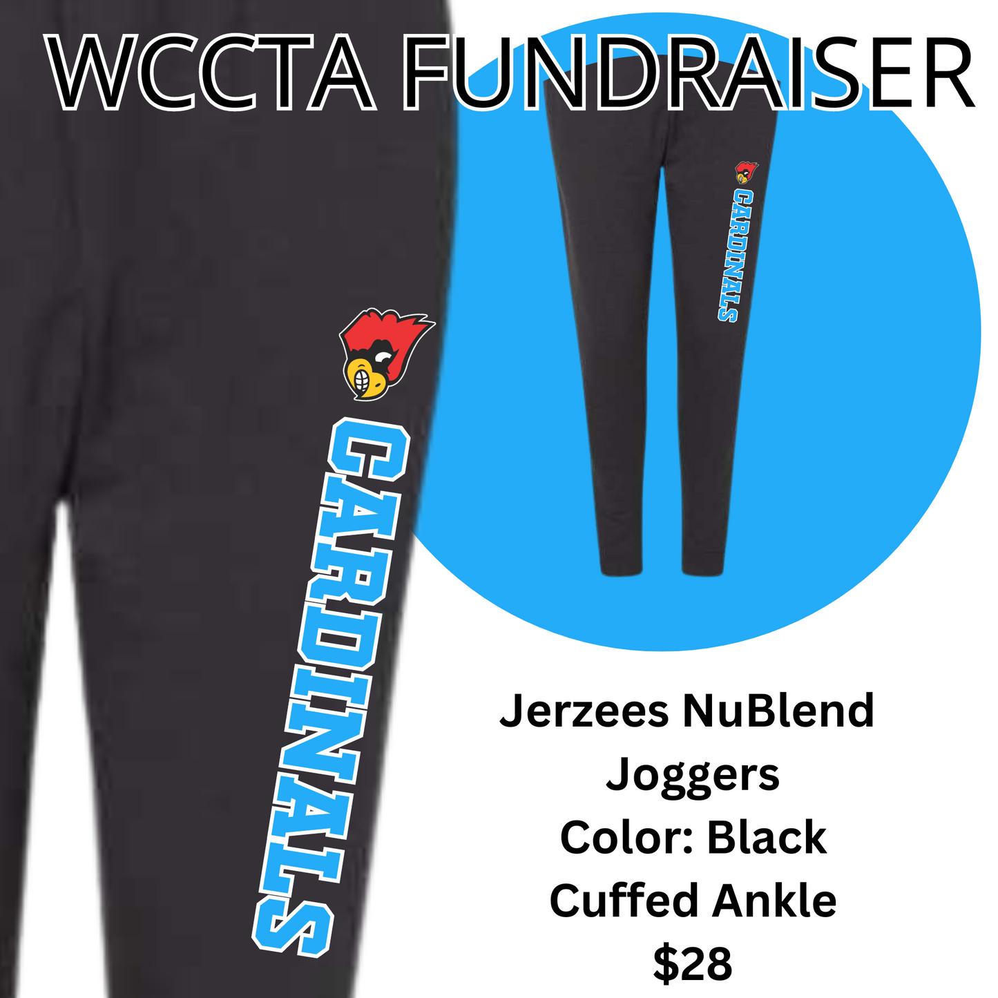 2024-2025 WCCTA Shirt & Pants Options