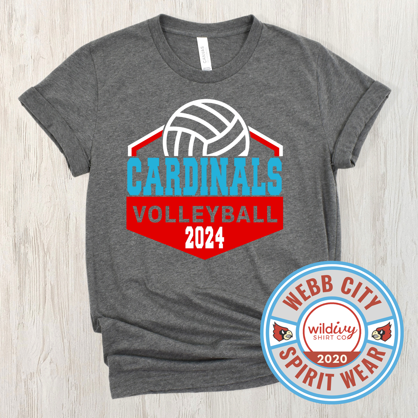 Cardinals Volleyball 2024